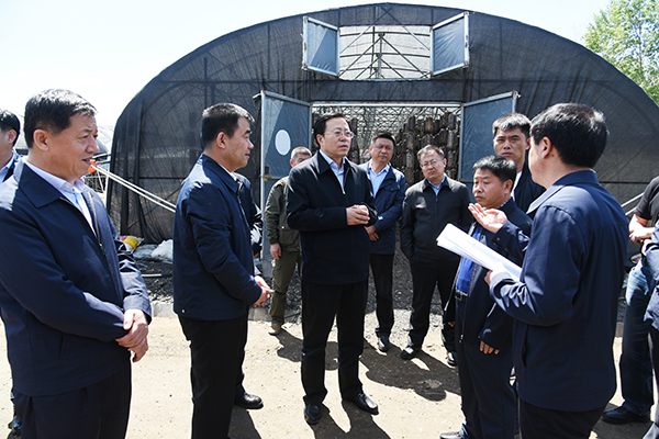 宋宏伟在集贤县调研时强调