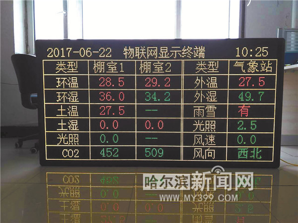 物联网从业者——智慧城市的缔造者