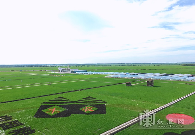 黑龙江省标准化基地建设助推现代农业高质量发展