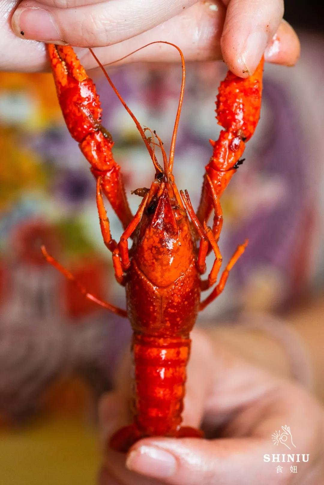 act for food丨100元/3斤小龙虾自助餐,你已经错过十!年!了!