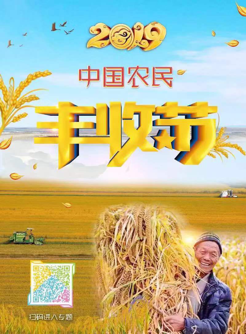丰收节我在全国数第一黑龙江粮食总产量全国第一