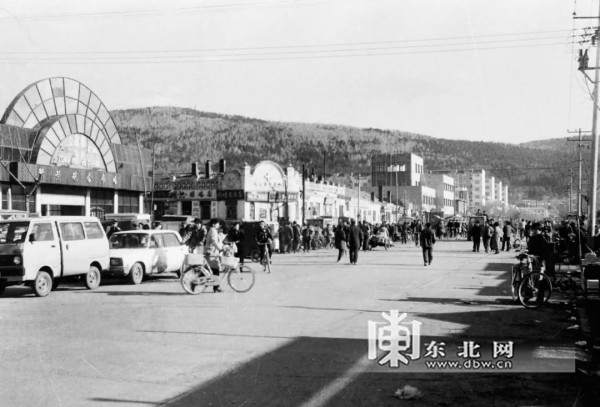 【走龙江大地 看今昔巨变】伊春:守护好"大森林里的家"!