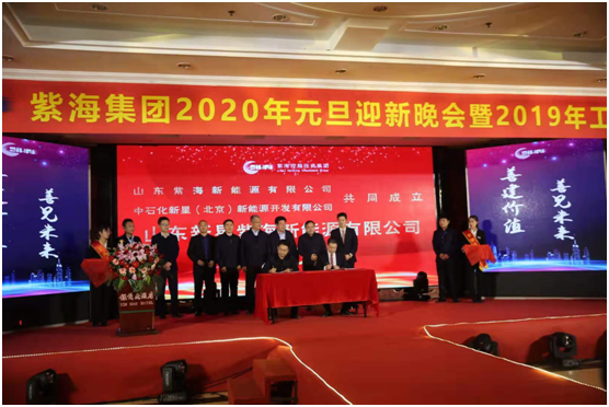 山东新星紫海新能源有限公司正式成立