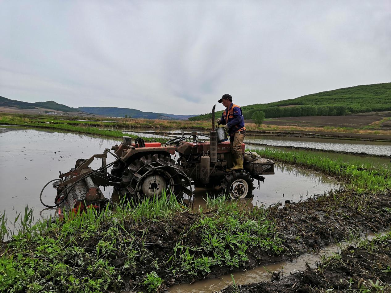 黑龙江建行下好强农惠农三步棋奏响乡村振兴三部曲