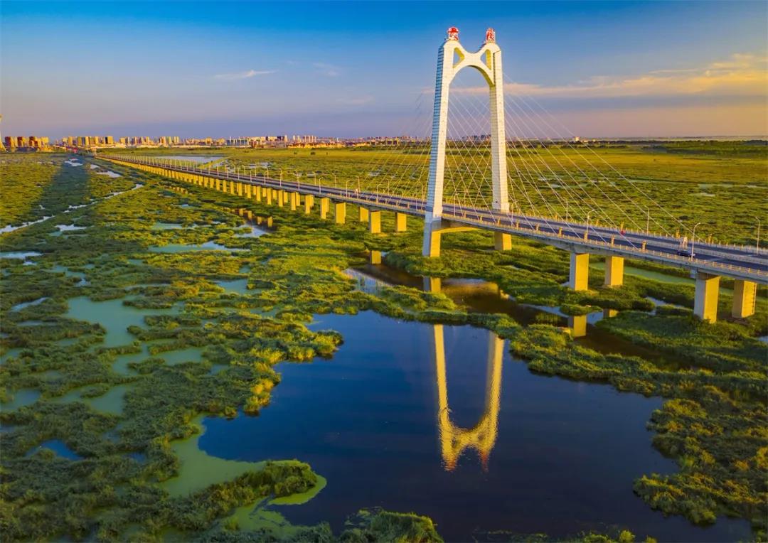 大庆湿地现通途