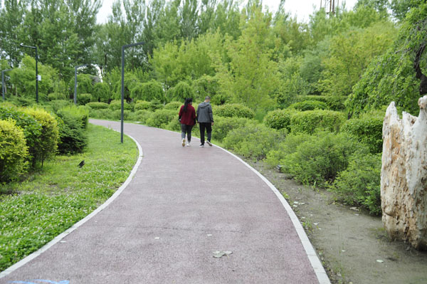 这是7月13日安达市民在位于安达市南环十一道街路南的安达南森林公园