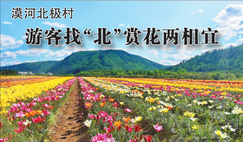 漠河北极村游客找 北 赏花两相宜