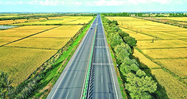 331国道鸡西段穿越大片稻田,此时稻穗金黄.