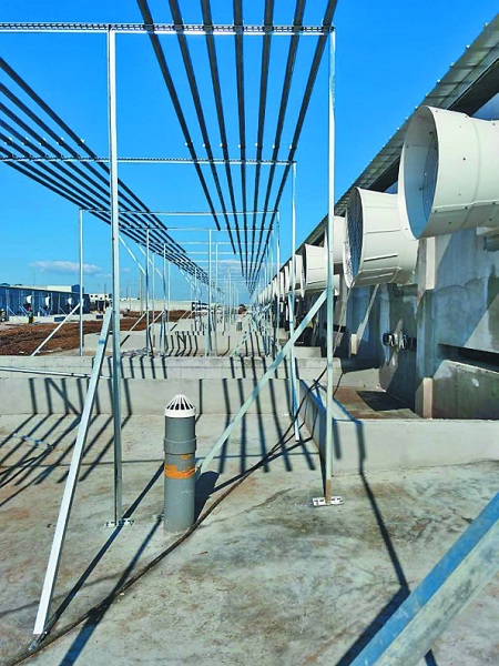 猪舍定位栏安装.