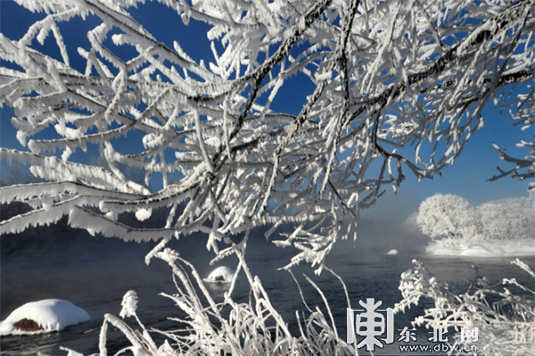 下雪啦！黑龙江奉上冰雪百景绚丽景致