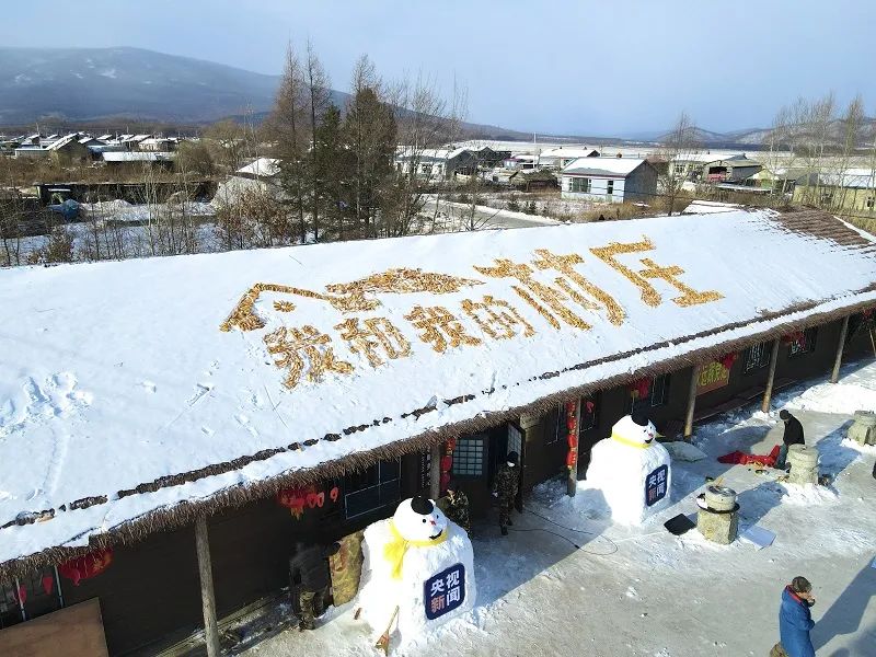 央视新闻客户端《我和我的村庄》直播节目在饶河县小南河村完美收官