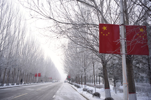 雾凇醉美绥化城琼花绽放正当时-绥化新闻网-东北网