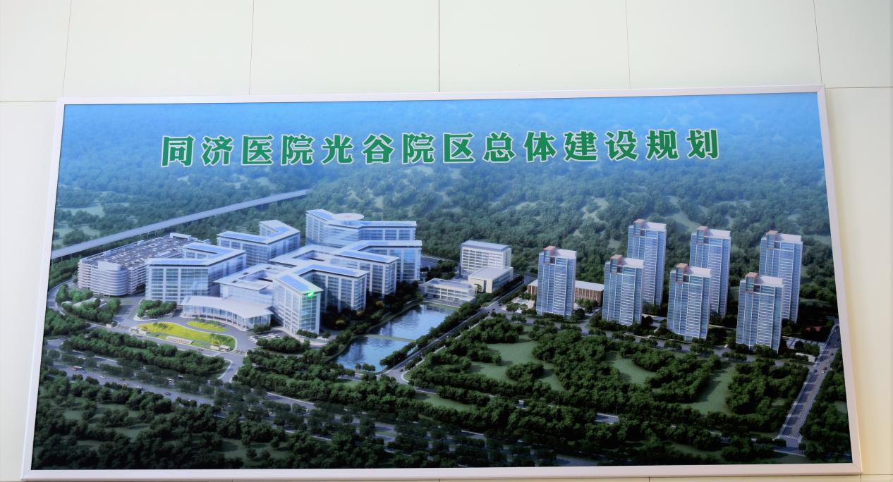 武汉同济医院布局图图片