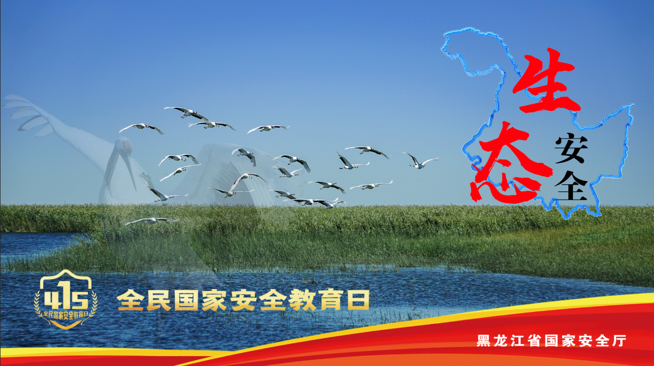 黑龙江省重点推出五大全民国家安全教育日主题海报