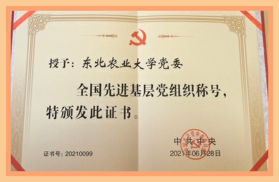 全国表彰!东北农业大学党委获评全国先进基层党组织