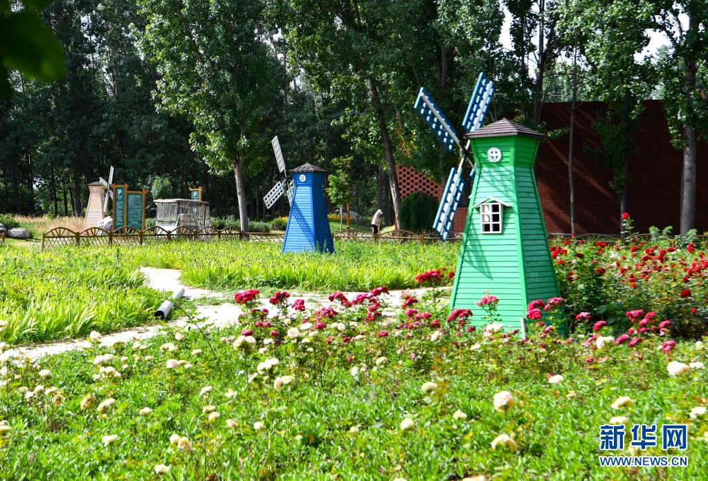 这是河南省新乡市长垣市云寨村村景(5月26日摄).新华社记者郝源摄