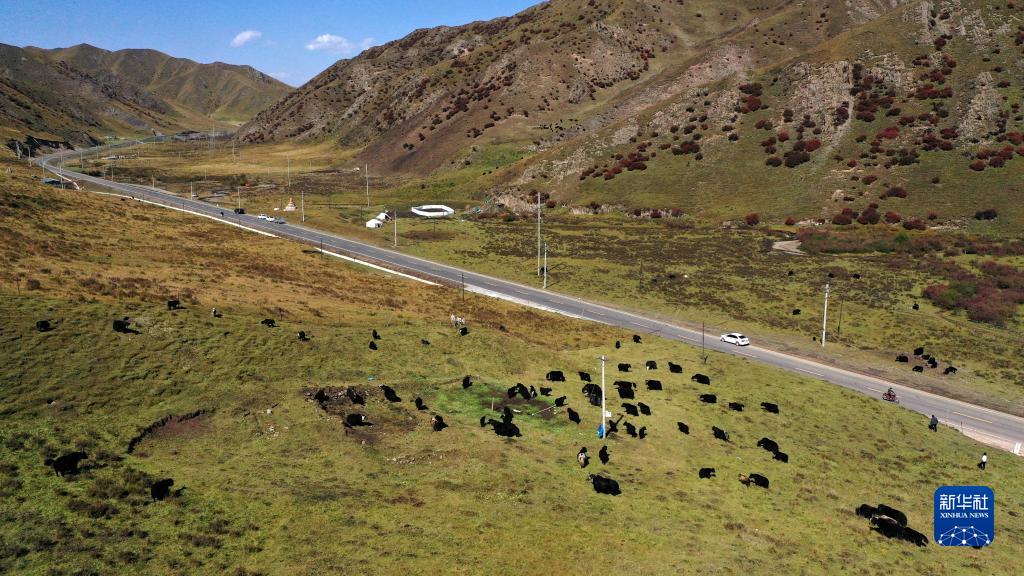 这是在同仁市瓜什则乡拍摄的大瓜公路(9月28日摄,无人机照片).