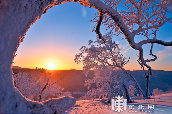 “冬奥在京张，冬游来龙江” 黑龙江冬季产品线路满足您对冬天的多彩幻想