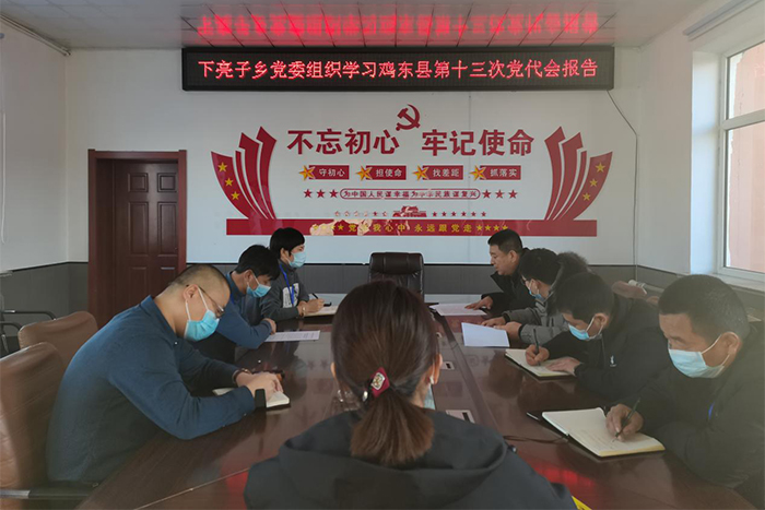 下亮子乡厚植为民情怀推进乡村振兴