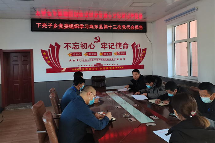 下亮子乡厚植为民情怀推进乡村振兴