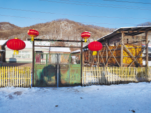 阿城二道河子小雪乡年味十足