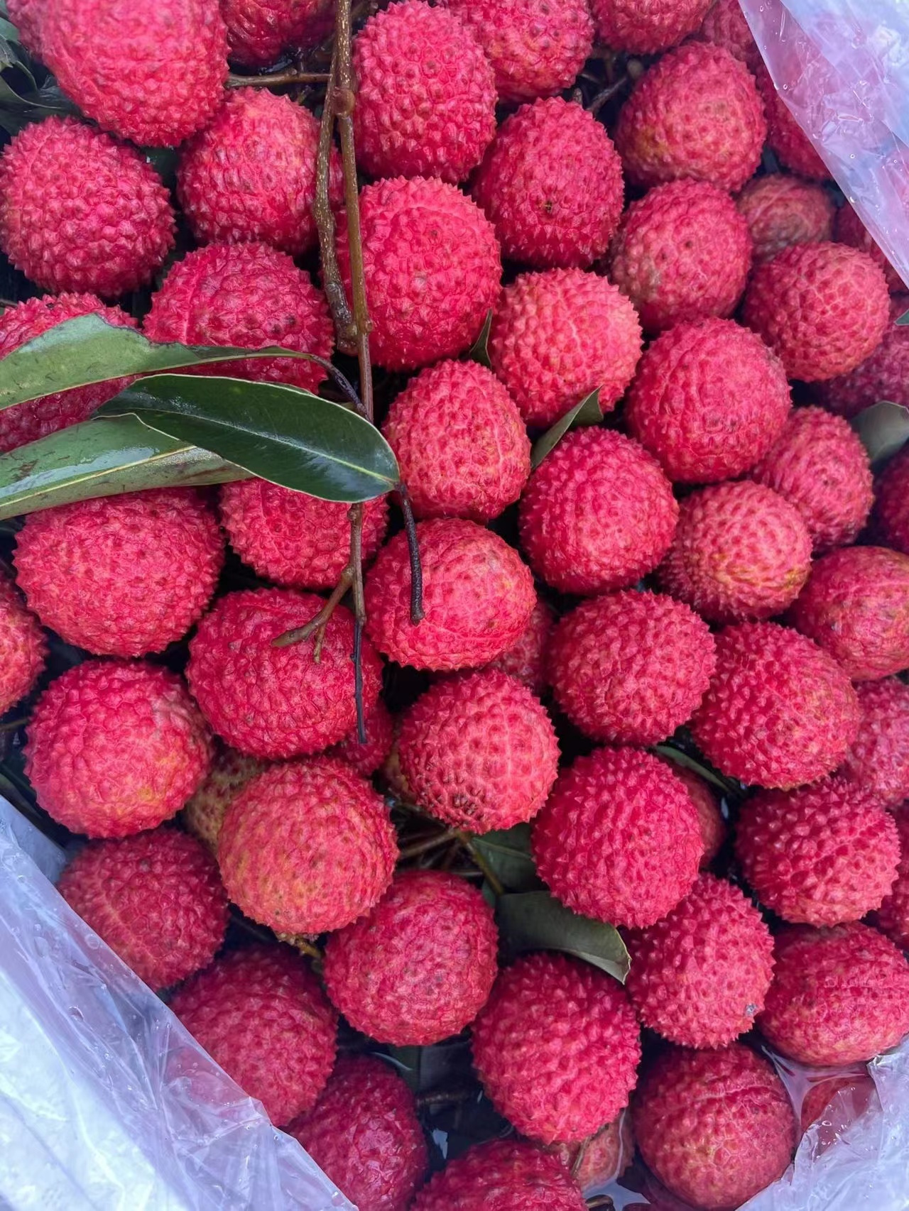 北京超市现1049元1斤天价荔枝什么来头