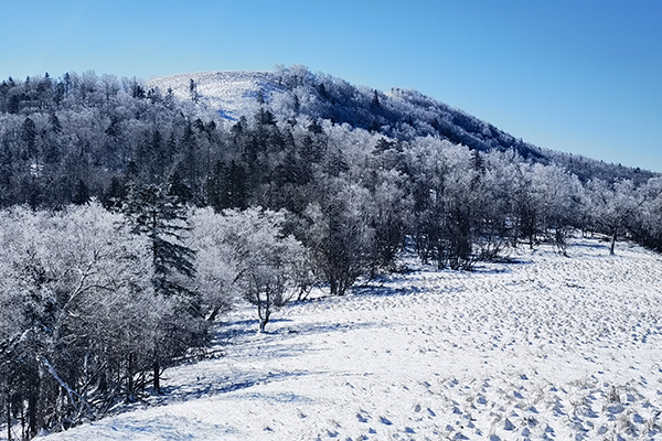 雪乡下雪了黑龙江亚雪公路迎来入秋最大降雪冰雪画廊美如画