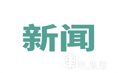 越南電子油門踏板行業投資可行性AYX爱游戏- 爱游戏体育官方网站- 爱游戏体育APP調研專題報告