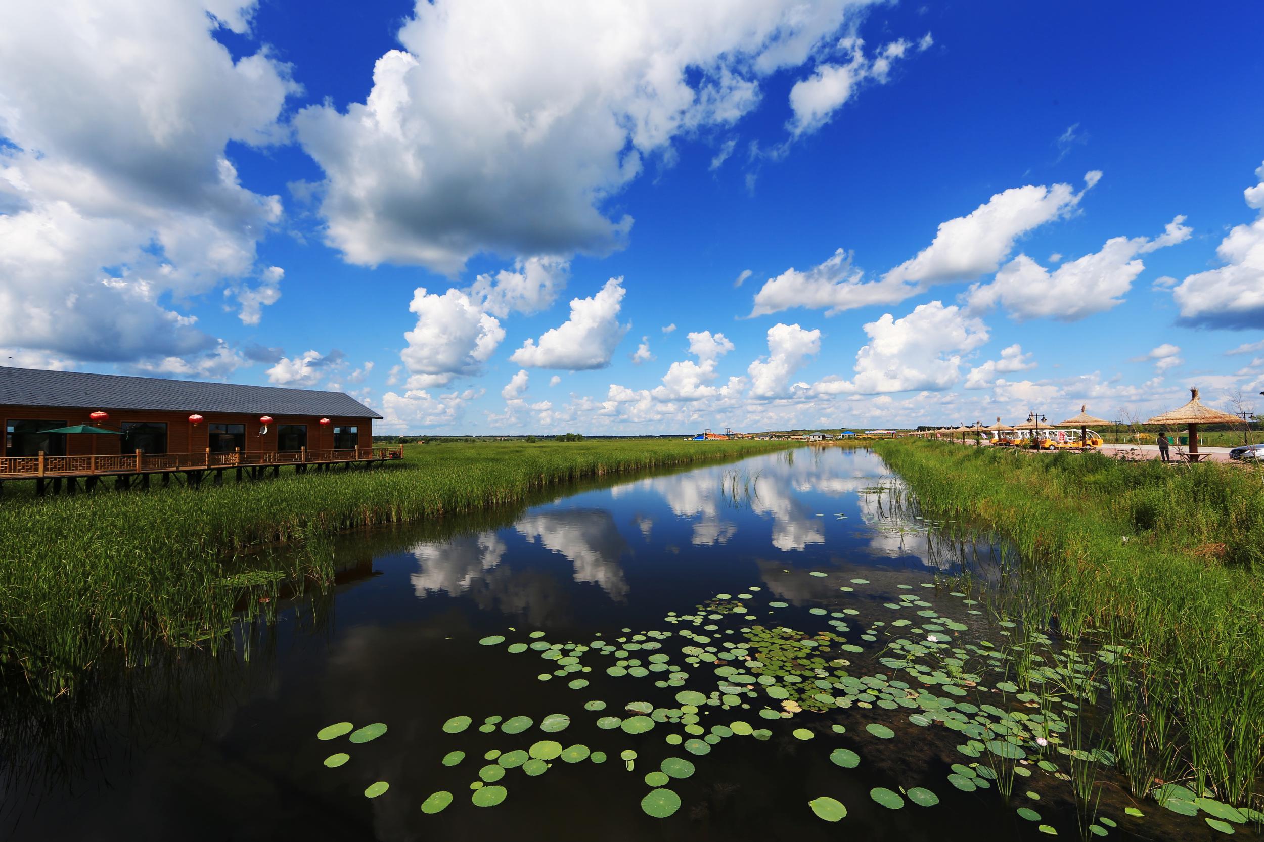 看一眼就爱上的龙江美|来绥化 寻夏日之梦-东北网旅游-东北网