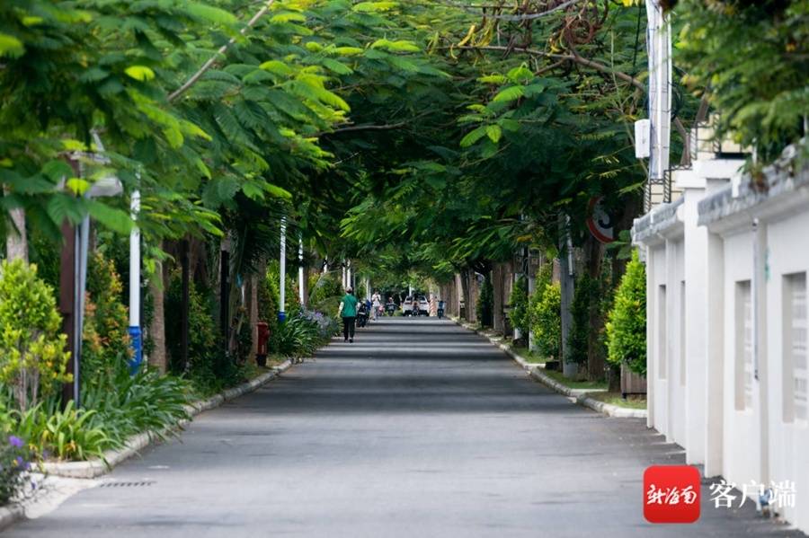 媒体海南行三亚崖州区梅西村用文明乡风扮靓美丽乡村