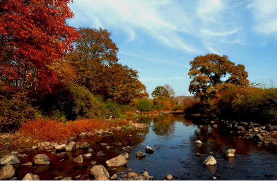 哈尔滨市阿城区第十四届金龙山红叶节启幕