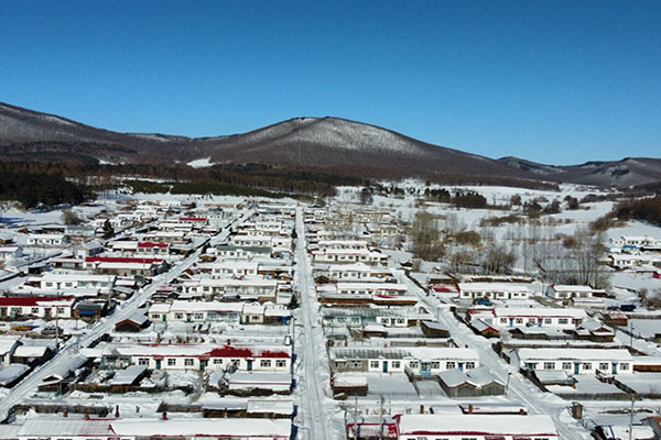 龙江县融黑龙江鸡东大山里的守林人