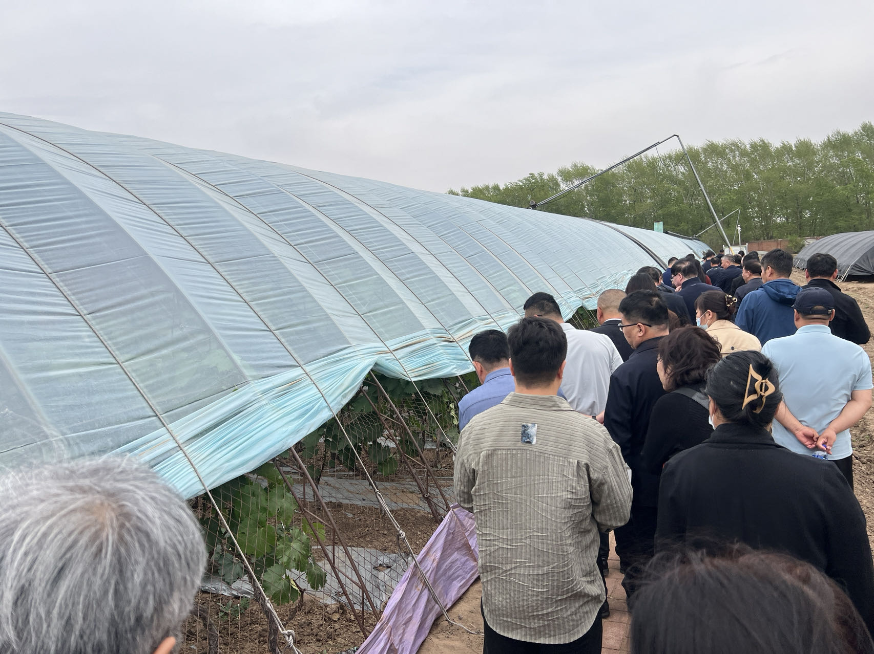 筑基新龙江|富裕县职业教育中心学校:职业教育赋能乡村振兴