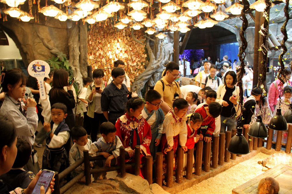 端午"海"韵行 东北网小记者探秘波塞冬海底王国-东北-