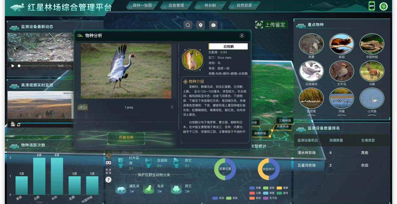 Heilongjiang移动数字智能赋予了有关生态和环境保