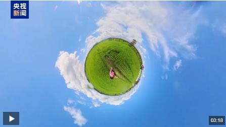 非常研究和中国的研究与发展|探索米饭，耳朵和