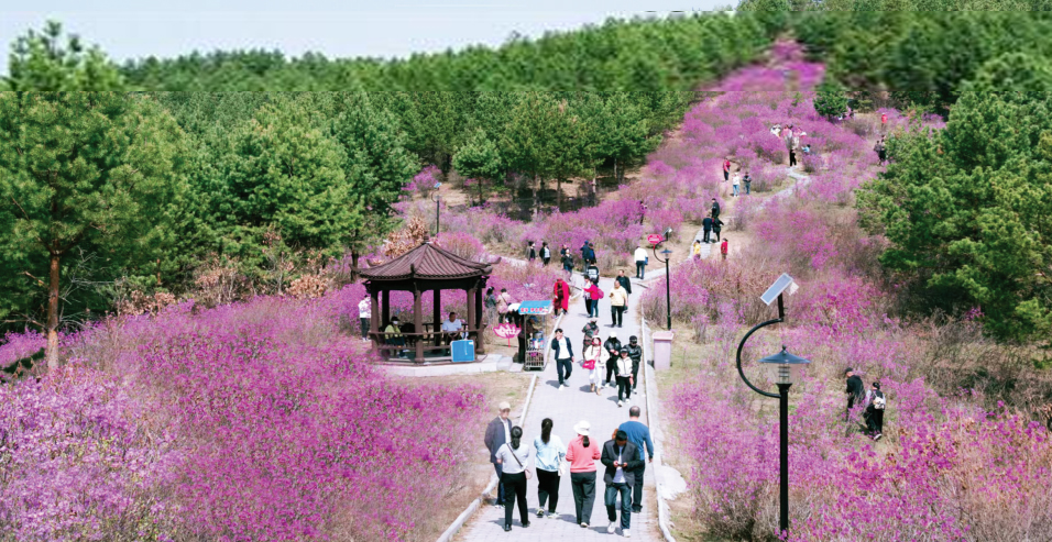  ֮