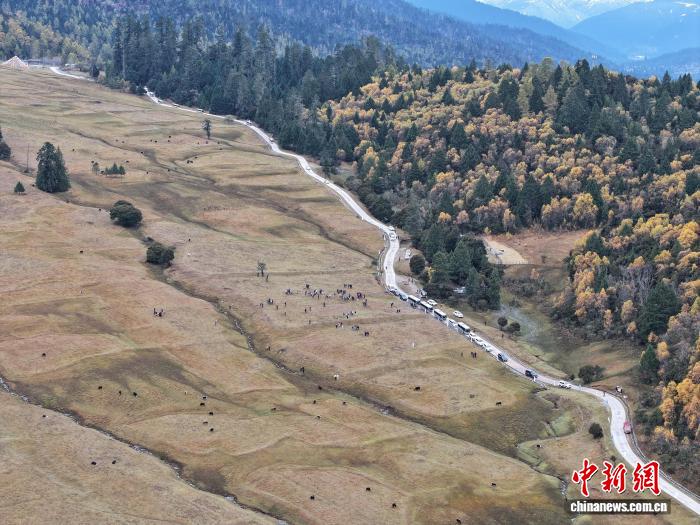 外国人西藏林芝之旅有很多“意想不到的事情”