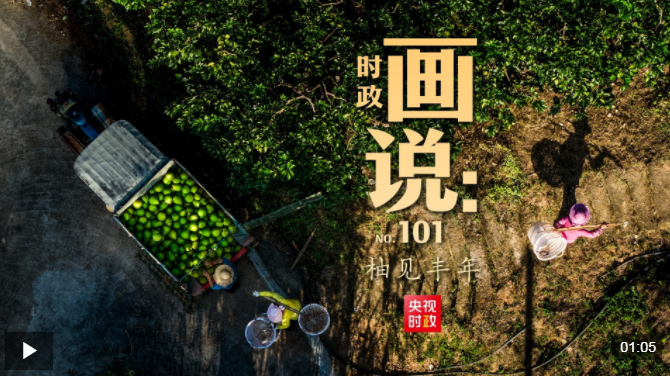 评当下政治画作丨你看收获很大