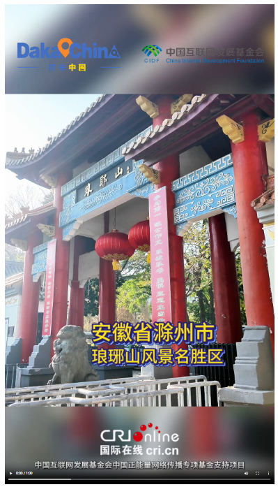 【看2025中国】城市焦虑消退！巴西网红亲测：狼